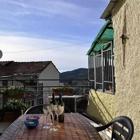 Elena House - Mareri