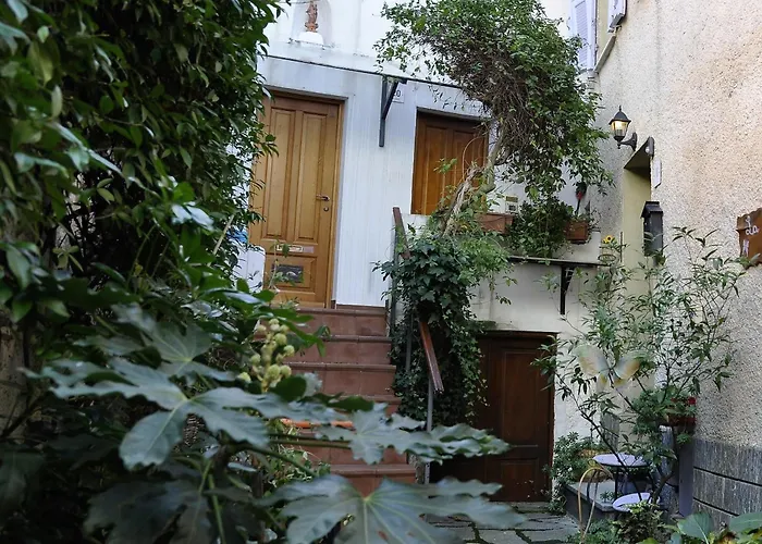 Elena House - Mareri